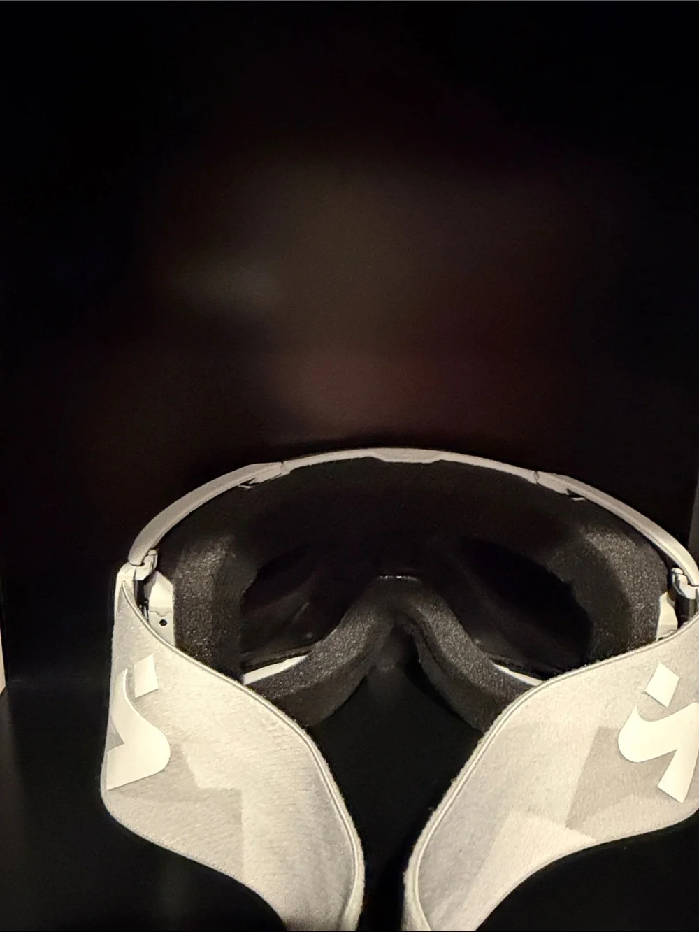 Sweet Protection Ski Goggles
